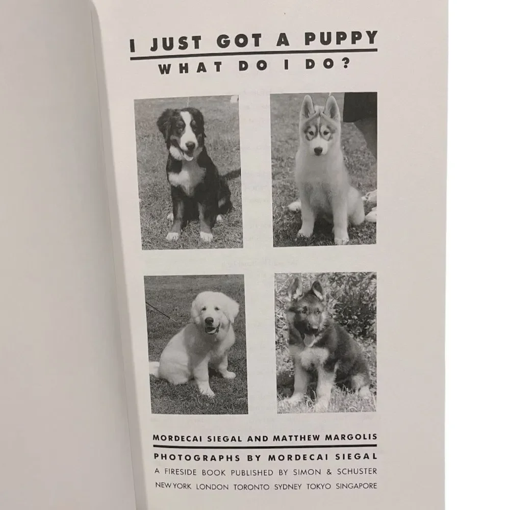 Book I Just Got a Puppy, What Do I Do? Mordecai Siegal
